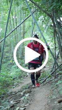 BIB:  <button type="button" onclick="openModal(28041369)" class="btn btn-primary btn-sm float-right" data-toggle="modal" data-target=".modal-high-quality">
                <i class="fa fa-download"></i> Download
                </button>